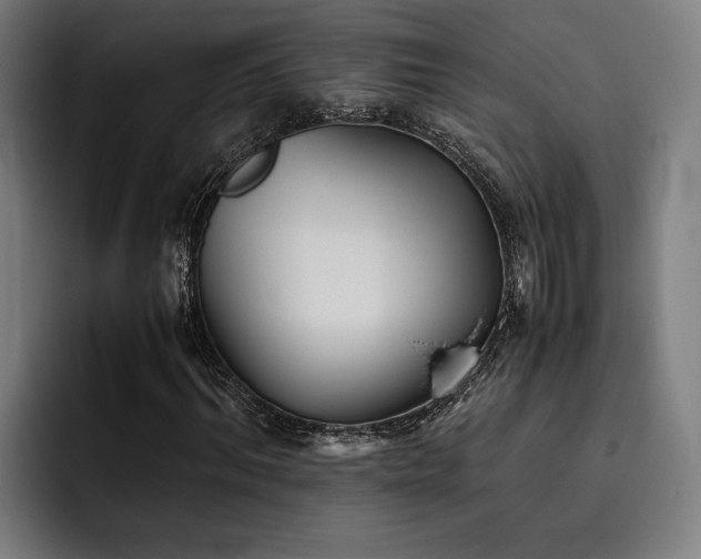 X0000093530964200710121556