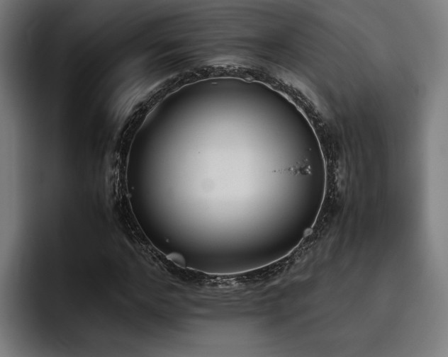X0000093530968200710121556