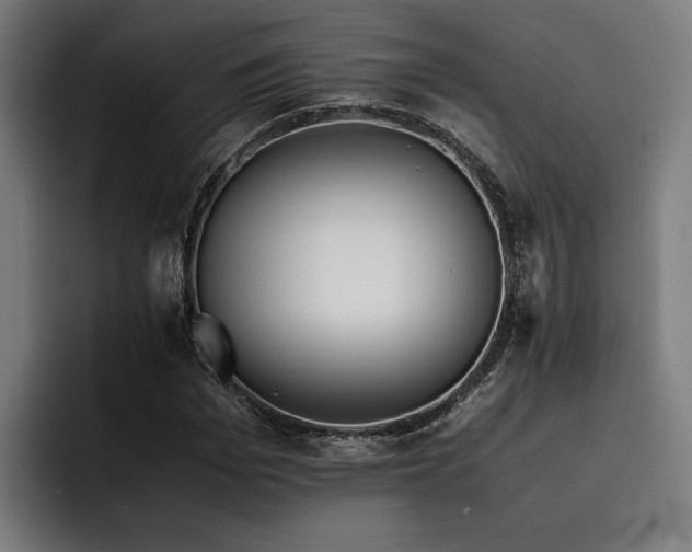 X0000093530969200710121556