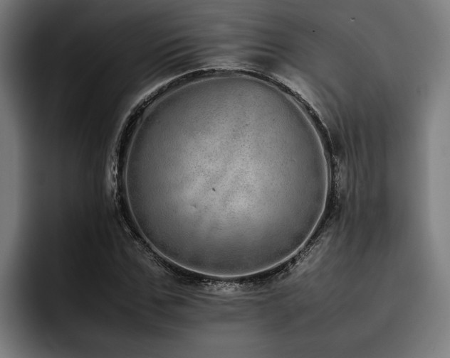 X0000093530971200710121556