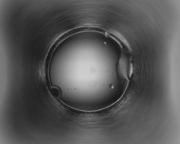 X0000093530972200710121556