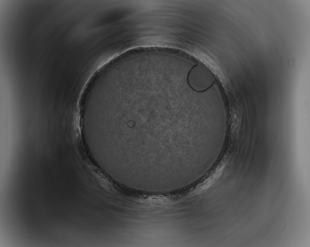 X0000093530974200710121556