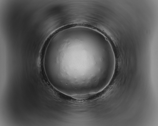 X0000093530975200710121556