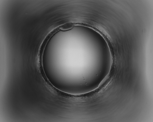 X0000093530976200710121556