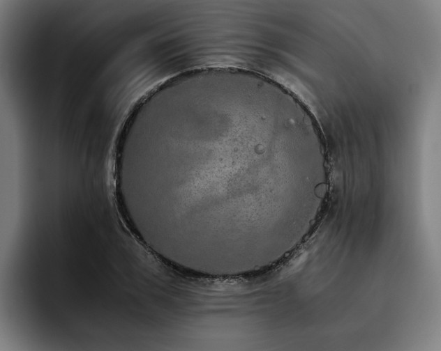 X0000093530979200710121556