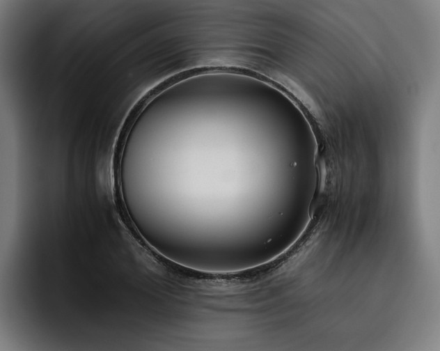 X0000093530980200710121556