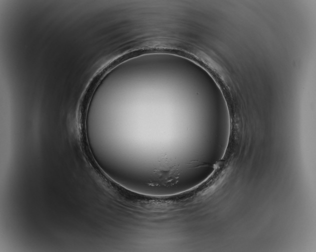 X0000093530981200710121556