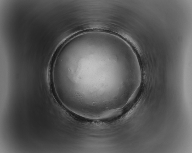 X0000093530983200710121556