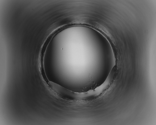 X0000093530984200710121556