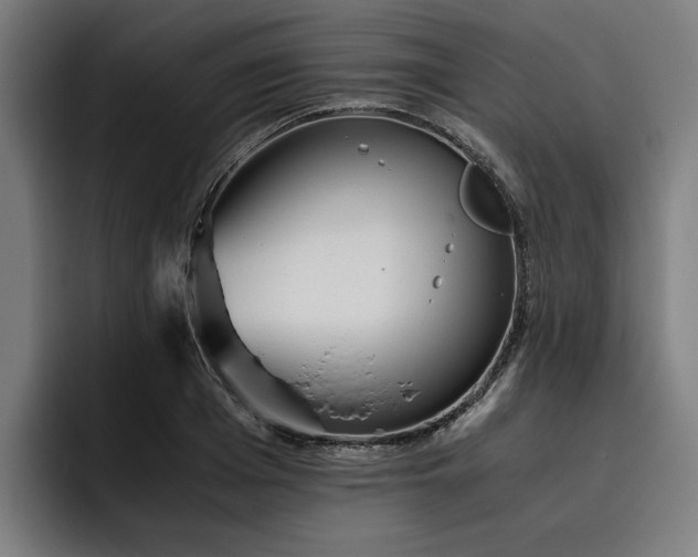 X0000093530985200710121556