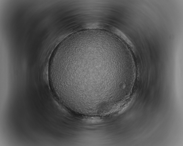 X0000093530986200710121556