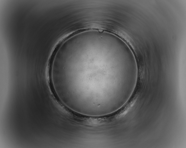 X0000093530987200710121556