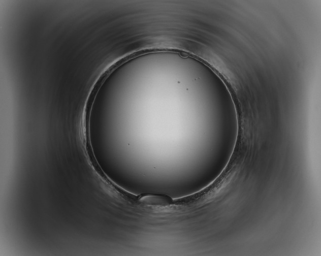X0000093530988200710121556