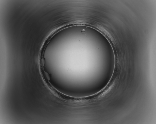X0000093530989200710121556