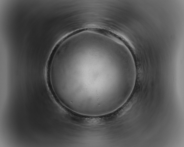 X0000093530991200710121556