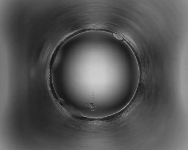 X0000093530992200710121556