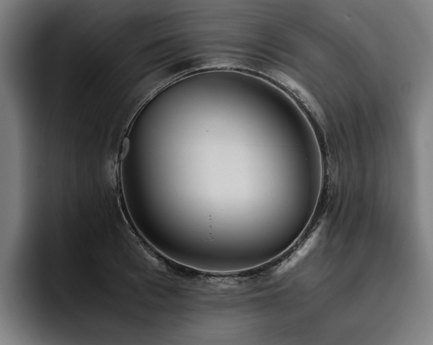 X0000093530993200710121556