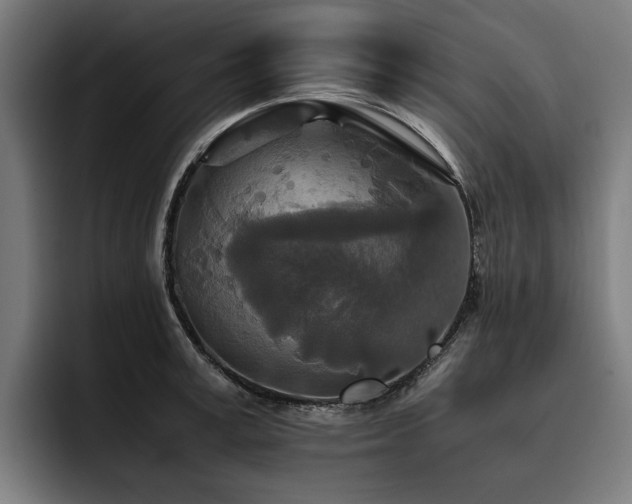 X0000093530995200710121556