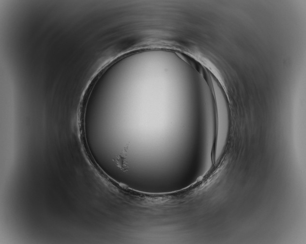 X0000093530997200710121556