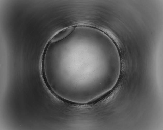 X0000093530999200710121556