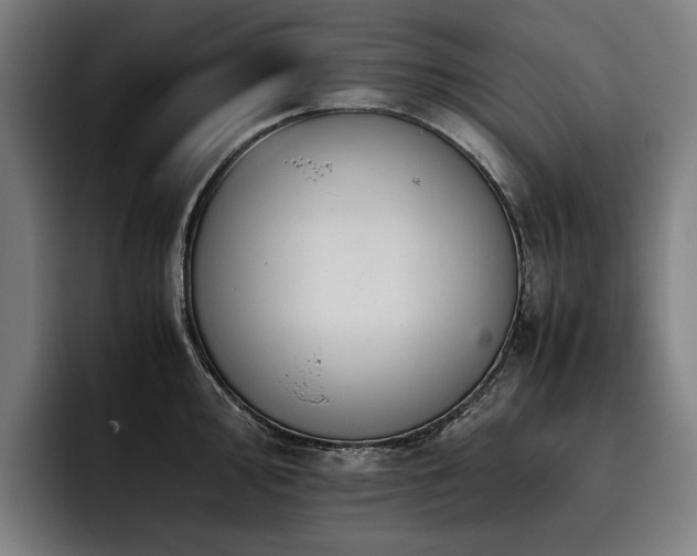 X0000093531000200710121556
