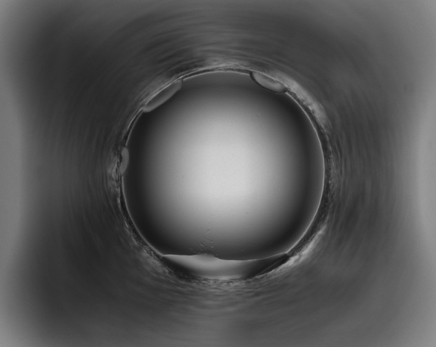 X0000093531001200710121556