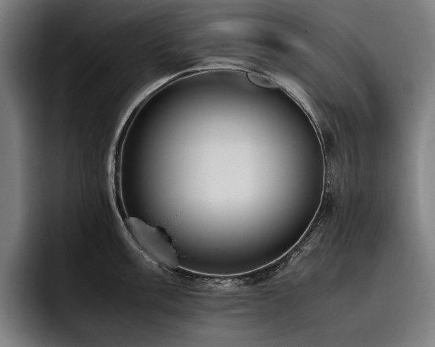 X0000093531003200710121556