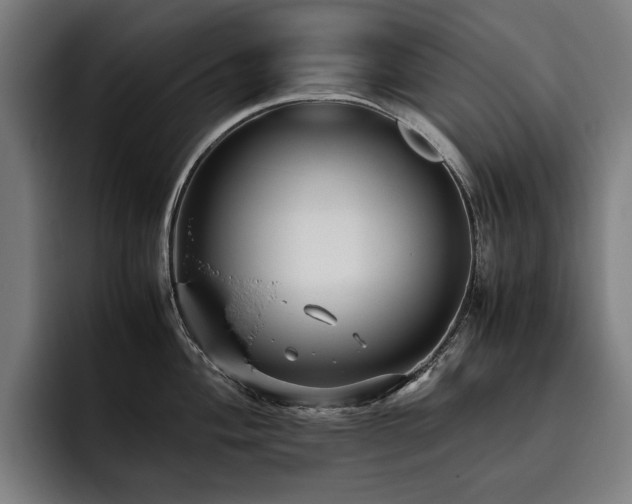 X0000093531004200710121556