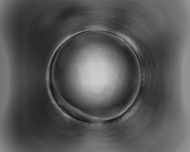 X0000093531007200710121556