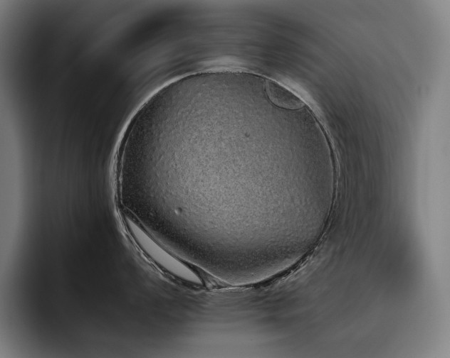 X0000093531008200710121556
