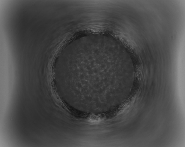 X0000093531009200710121555