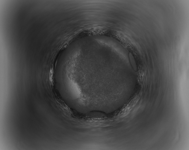 X0000093531010200710121555