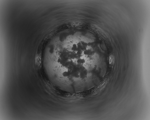 X0000093531011200710121555