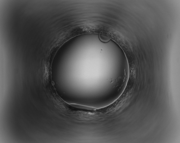 X0000093531012200710121555