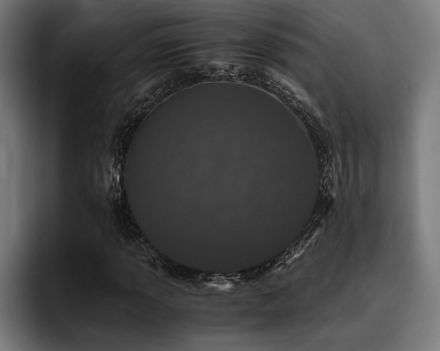 X0000093531013200710121555