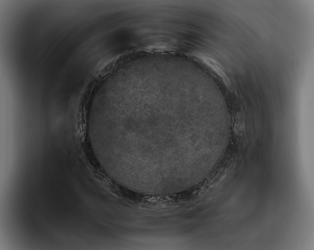 X0000093531015200710121555