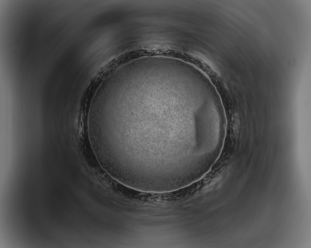 X0000093531016200710121555