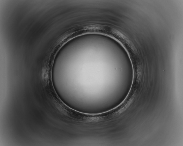 X0000093531017200710121555