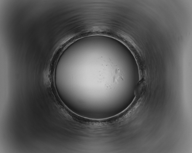 X0000093531018200710121555