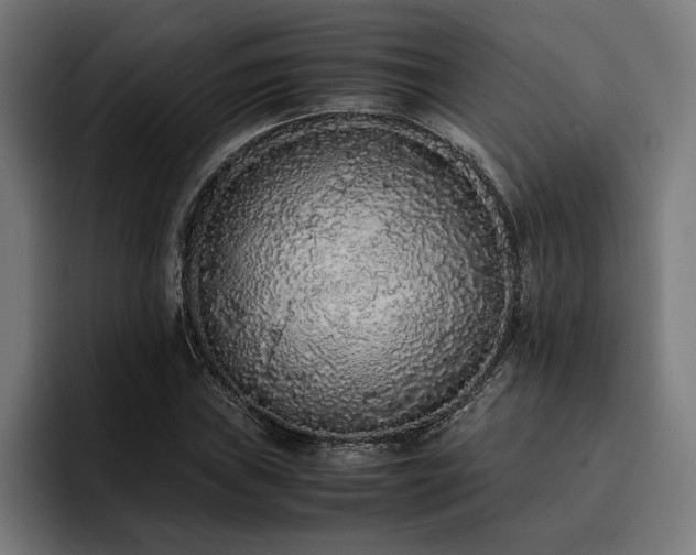 X0000093531019200710121555