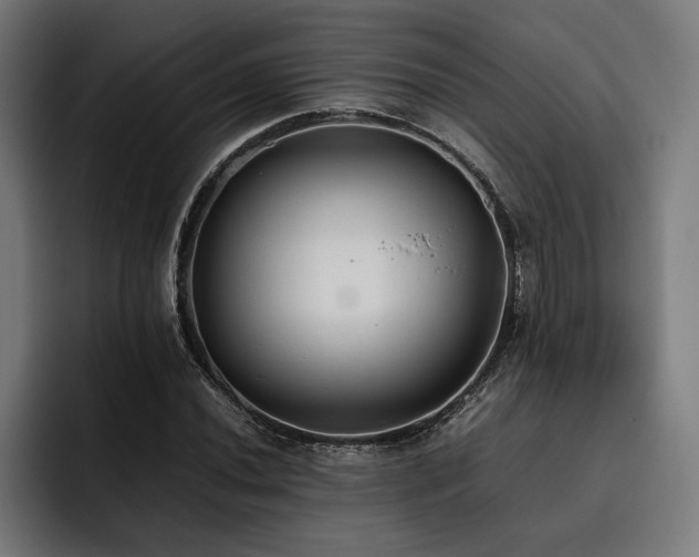 X0000093531020200710121555