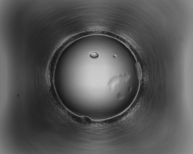 X0000093531022200710121555