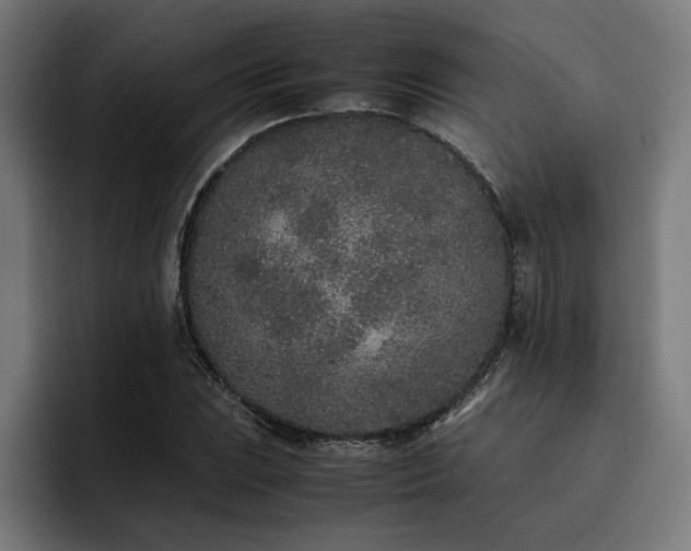 X0000093531023200710121555