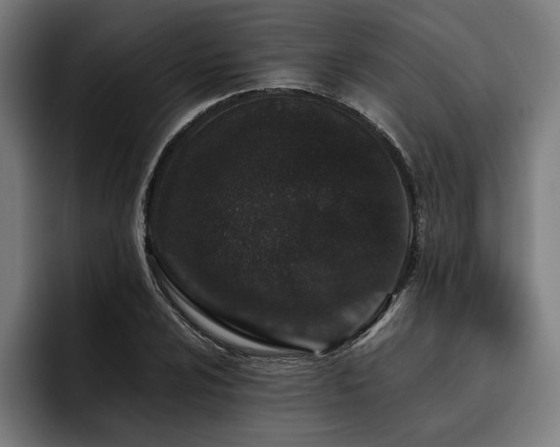 X0000093531024200710121555