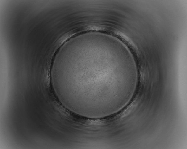 X0000093531025200710121555