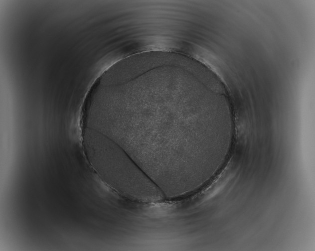 X0000093531026200710121555