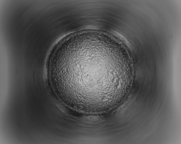 X0000093531027200710121555