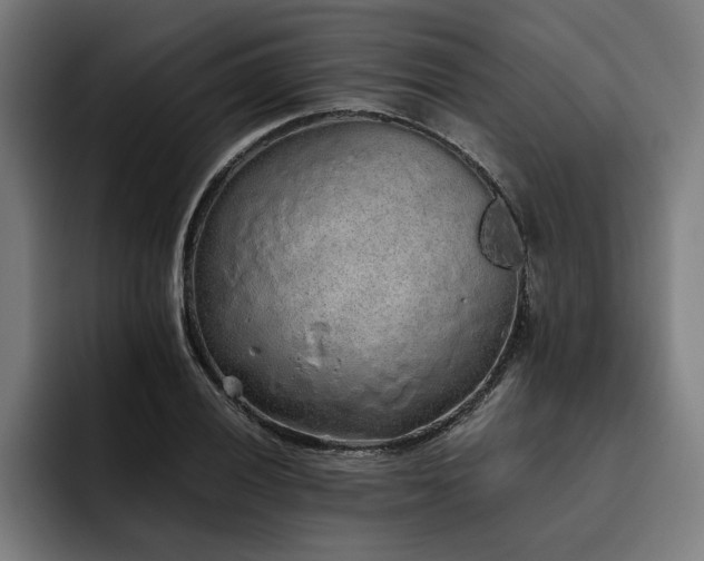 X0000093531028200710121555