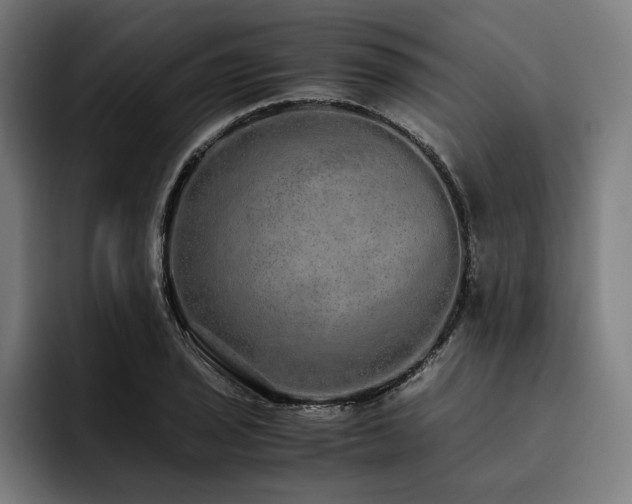 X0000093531029200710121555