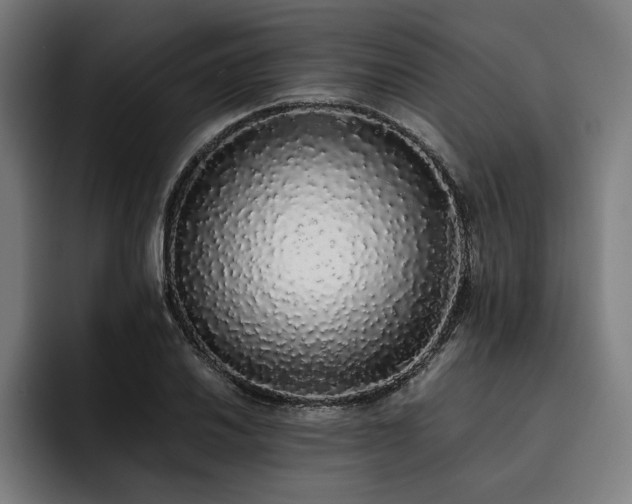 X0000093531030200710121555